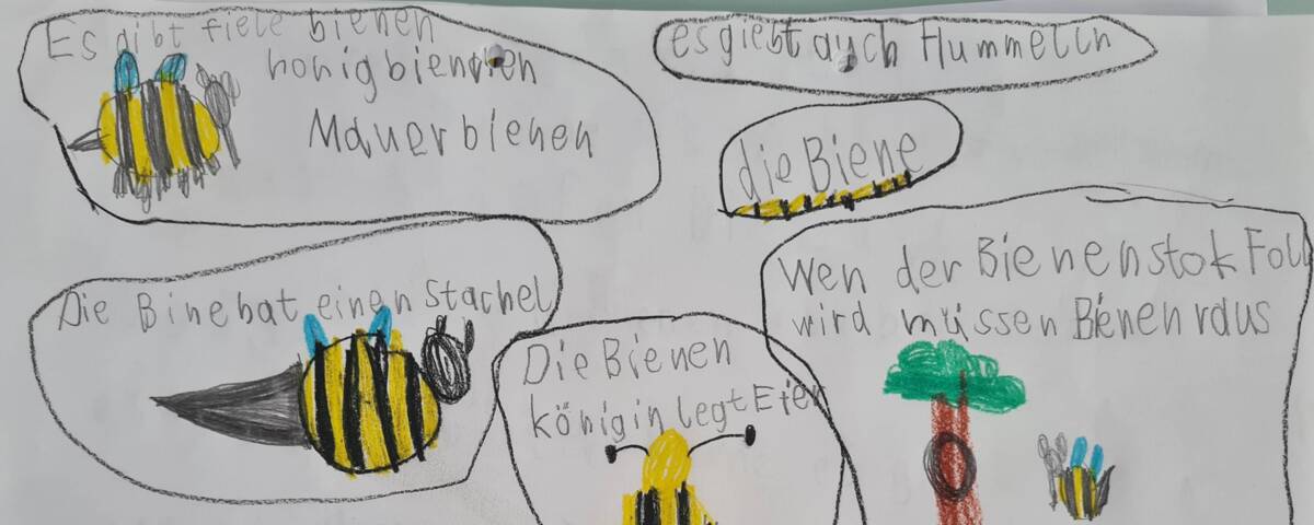 Bild Ersatz